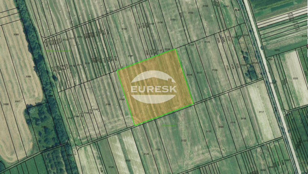 Investičná príležitosť – slnečný pozemok na predaj v obci Jasenov pri Humennom (12 144 m²)