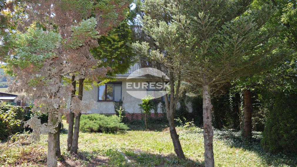 Na predaj rodinný dom v Radvani nad Laborcom.