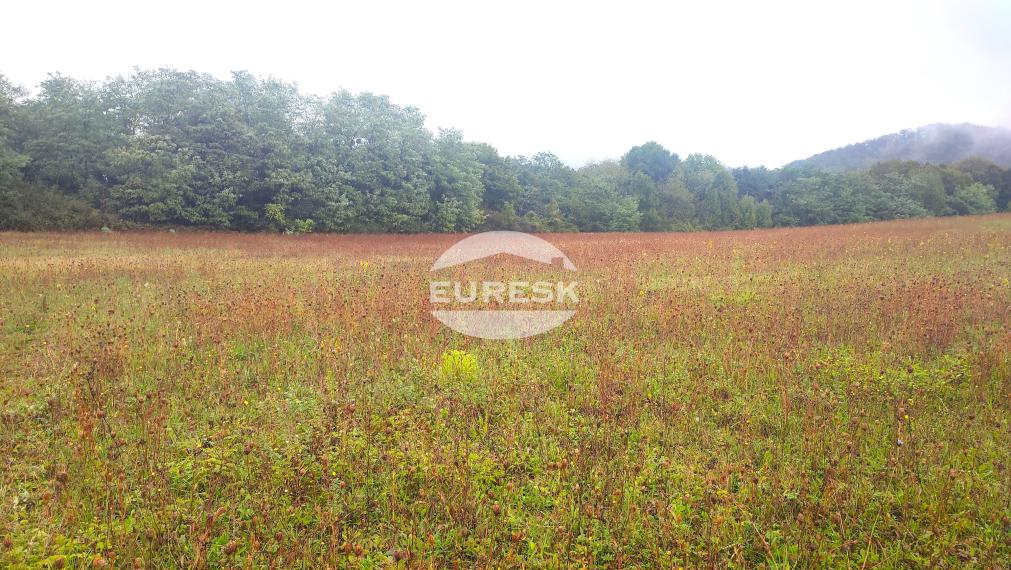 Na predaj: Investičný stavebný pozemok 5 470 m² v malebnom prostredí obce Jasenov pri Humennom