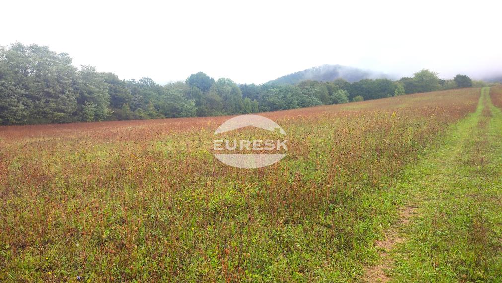 Na predaj: Investičný stavebný pozemok 5 470 m² v malebnom prostredí obce Jasenov pri Humennom