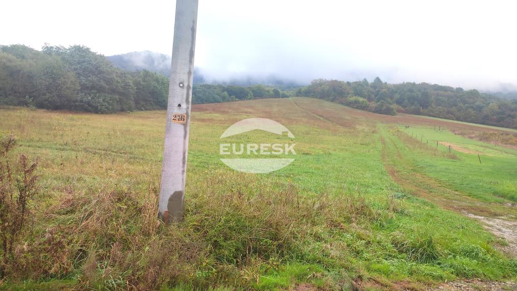 Na predaj: Investičný stavebný pozemok 5 470 m² v malebnom prostredí obce Jasenov pri Humennom