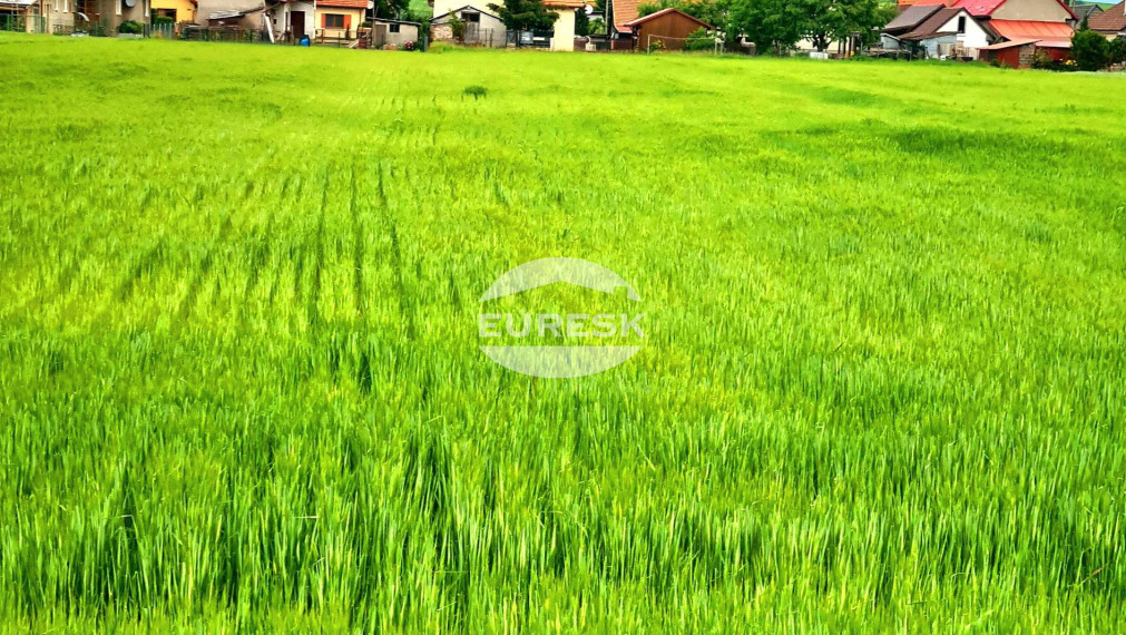 Na predaj pozemok  v Mysline..