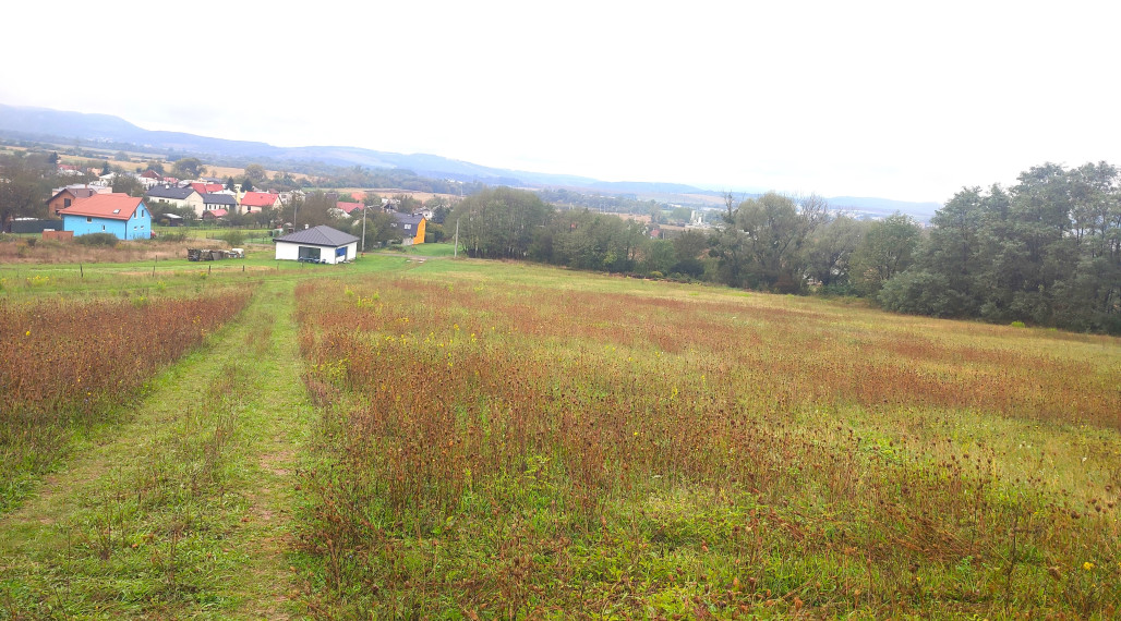 Na predaj: Investičný stavebný pozemok 5 470 m² v malebnom prostredí obce Jasenov pri Humennom