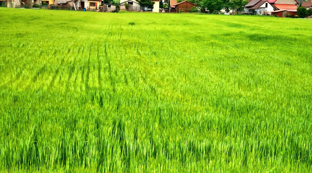 Na predaj pozemok  v Mysline..