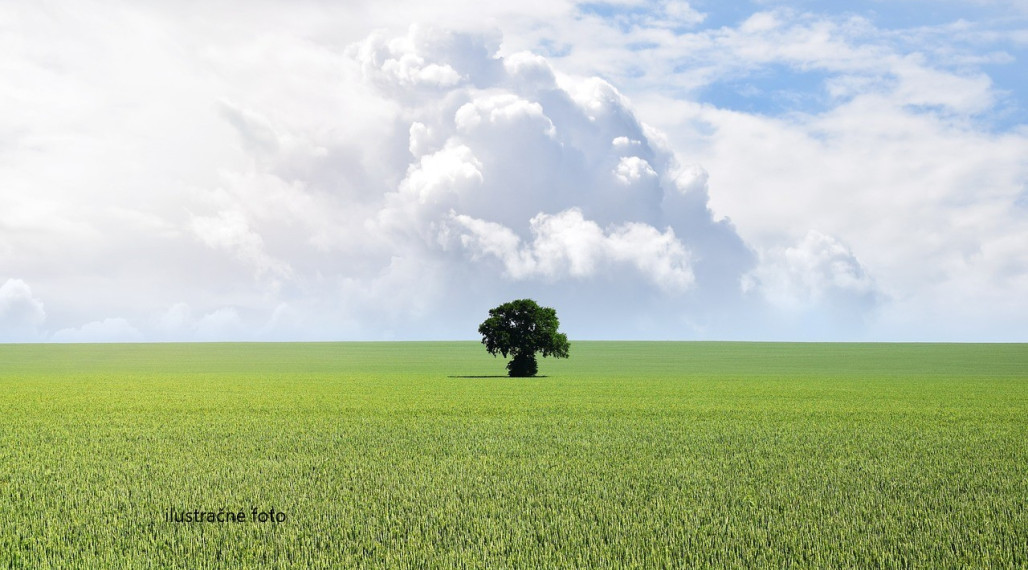 Na predaj stavebný pozemok v Michalovciach.