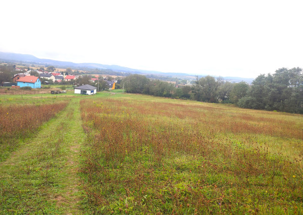 Na predaj: Investičný stavebný pozemok 5 470 m² v malebnom prostredí obce Jasenov pri Humennom