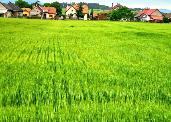 Na predaj pozemok  v Mysline..