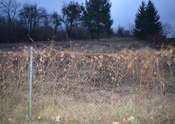 Na predaj pozemok  v Humennom.