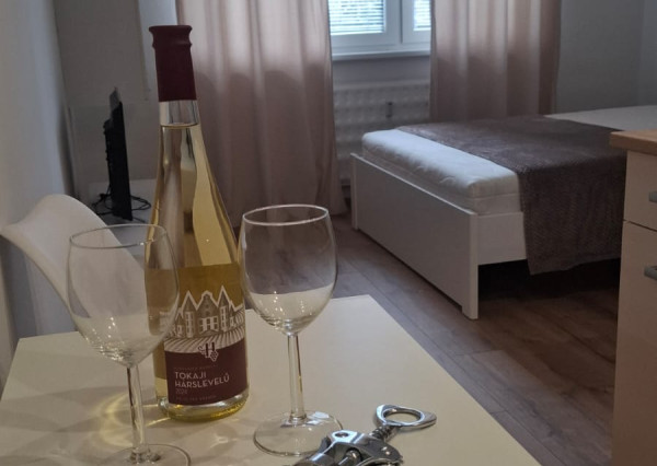 Na prenájom garzónka v Humennom.