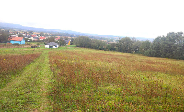 Na predaj: Investičný stavebný pozemok 5 470 m² v malebnom prostredí obce Jasenov pri Humennom
